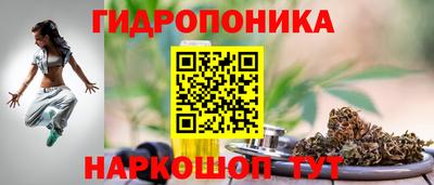 стаф Дубна