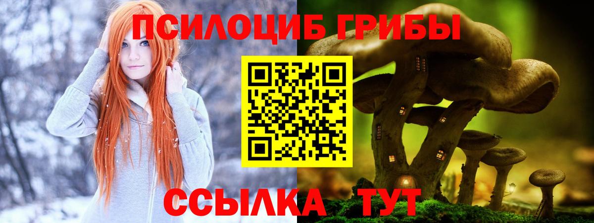 Галлюциногенные грибы GOLDEN TEACHER Ишимбай